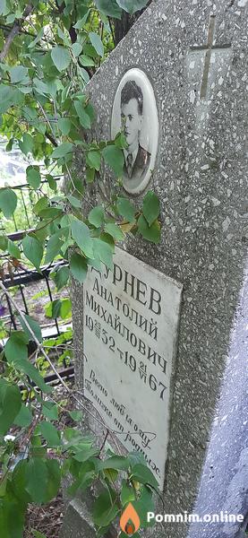 Дурнев Анатолий Михайлович