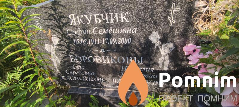 Боровикова Алла Сергеевна
