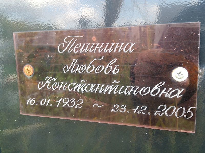 Пешнина