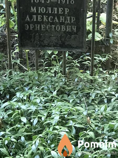 Мюллер Александр Эрнестович