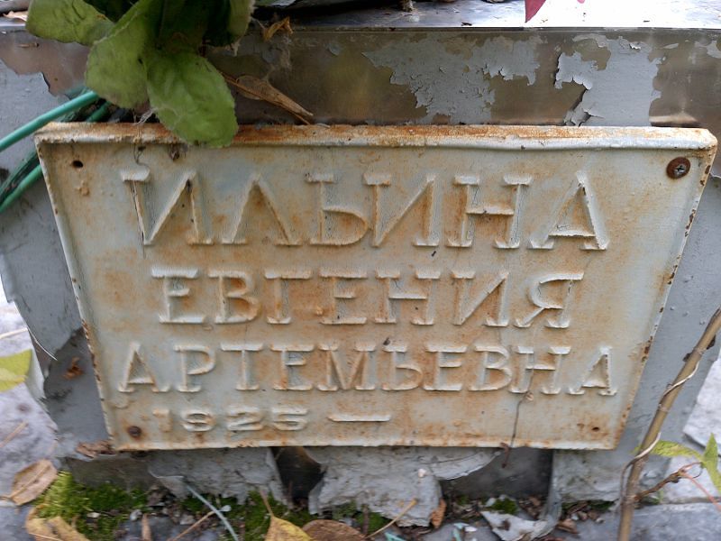 Ильина Евгения Артемьевна