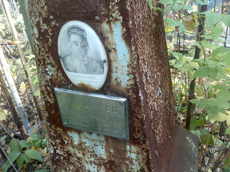 Николаев