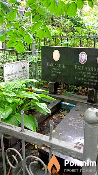 Смолевик Николай Ефимович