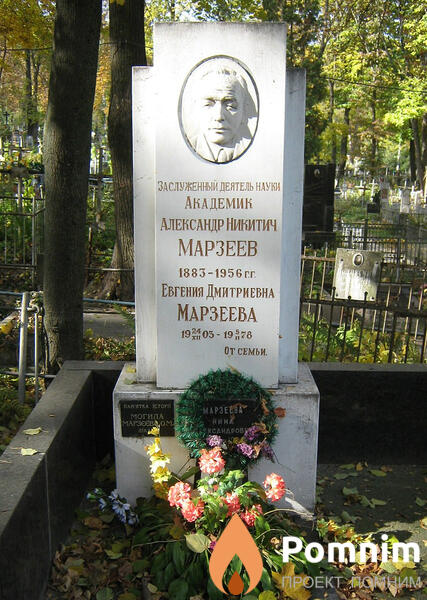 Марзеева Евгения Дмитриевна