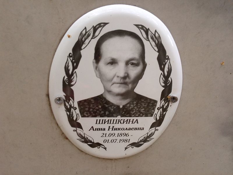Шишкина