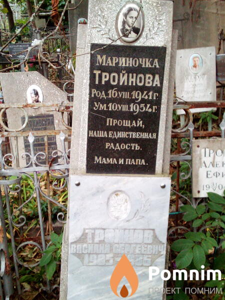Тройнов Василий Сергеевич