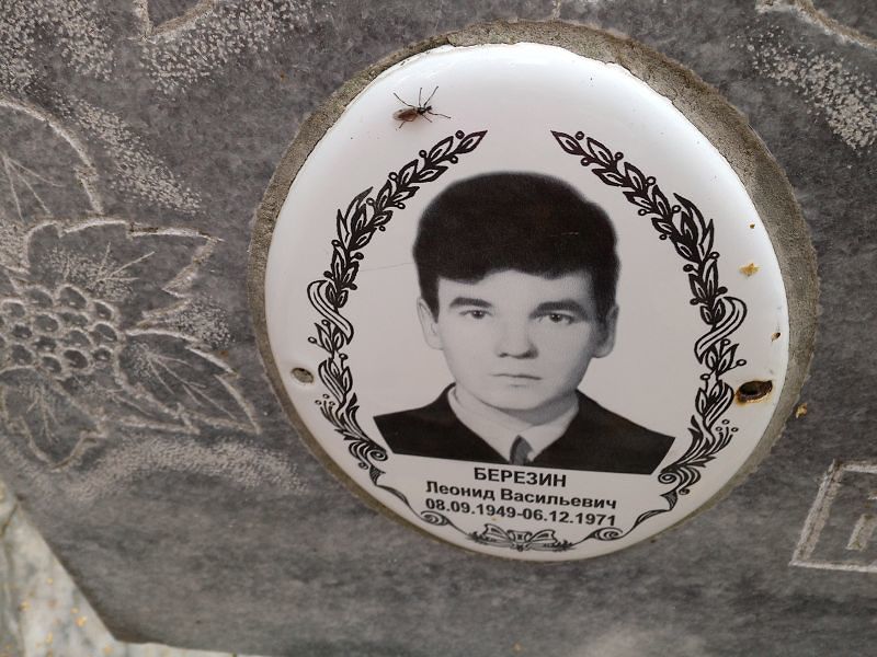 Березин