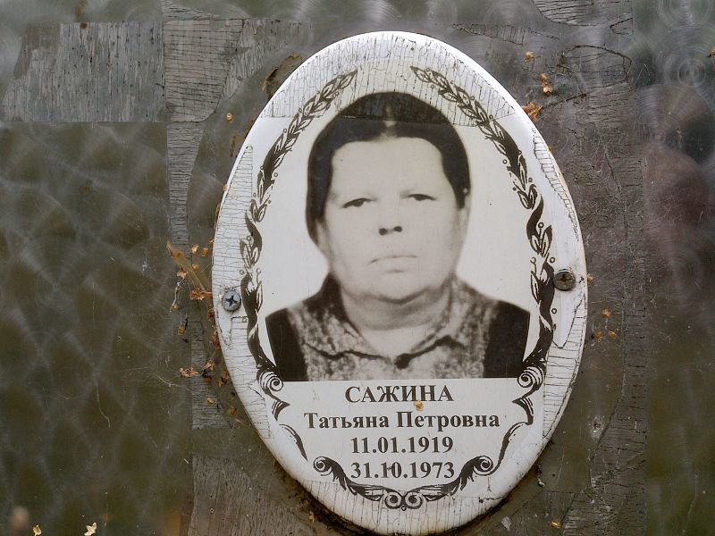 Сажина