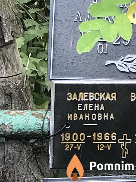 Залевская Елена Ивановна