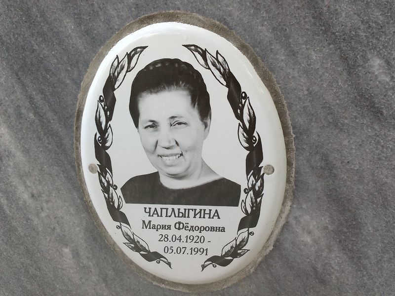 Чаплыгина