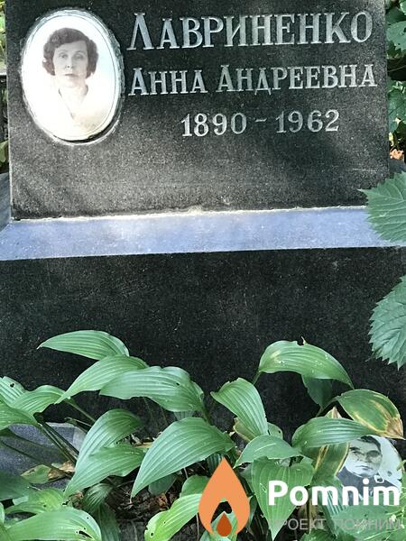 Лавриенко Анна Андреевна