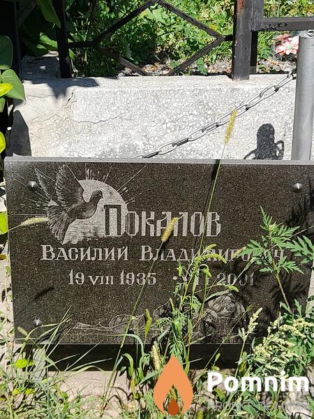 Покалов Василий Владимирович