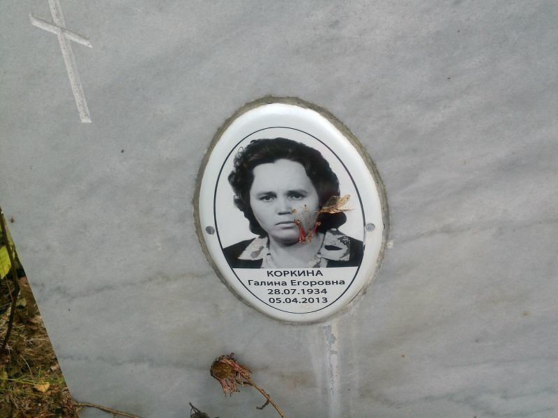 Коркина