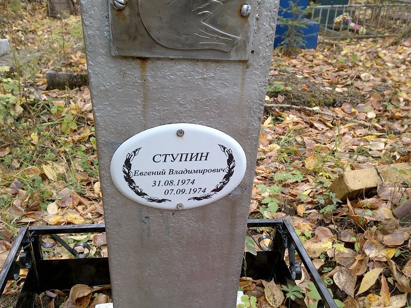 Ступин