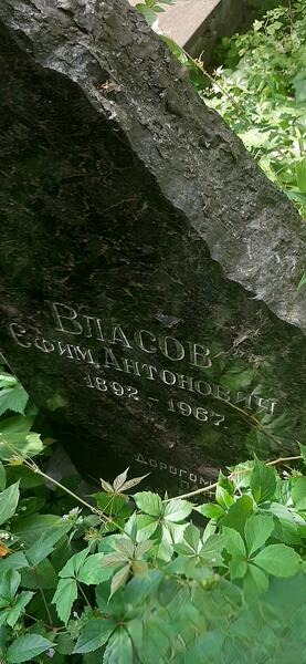 Bласов Ефии