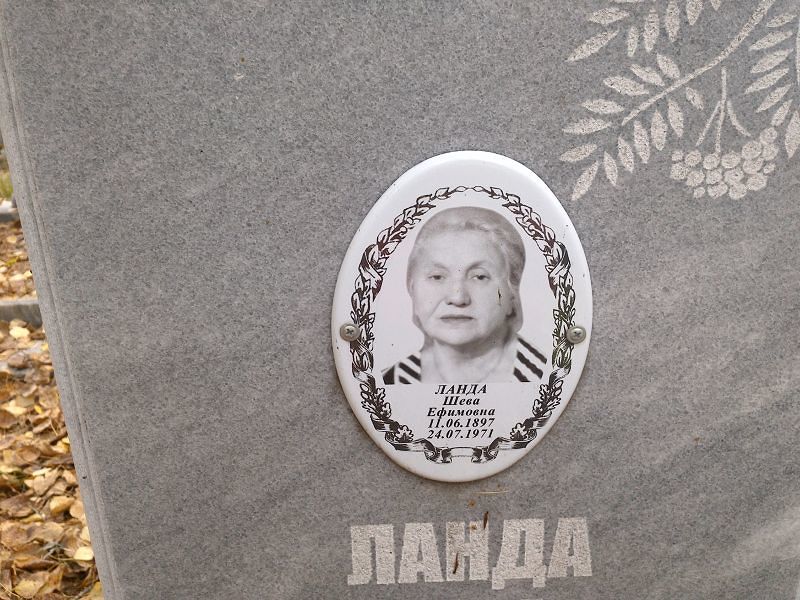Шева Ланда Ефимовна