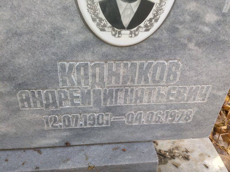 Кадников