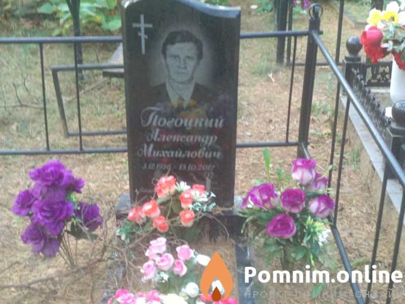 Погоцкий Александр Михайлович
