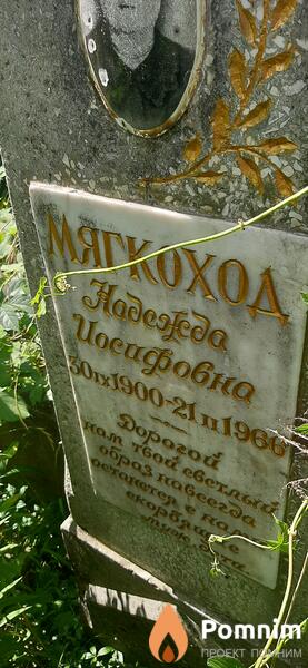 Мягкоход Надежда Иосифовна