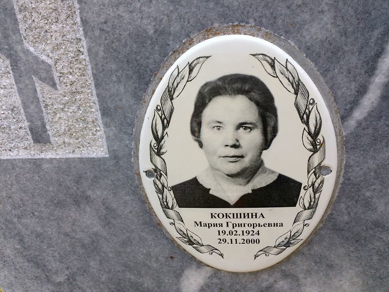Кокшина