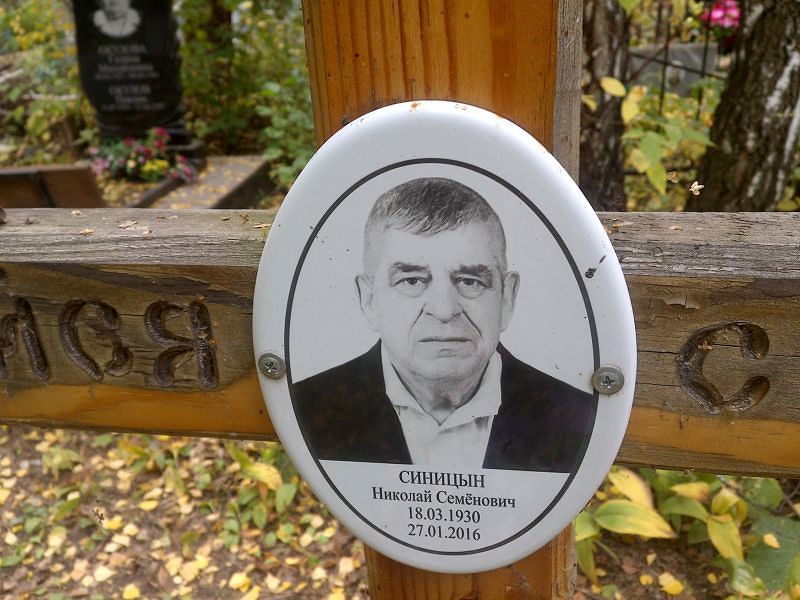Синицын