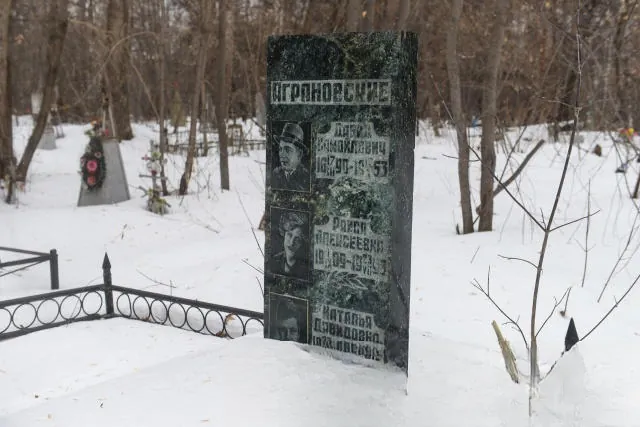 Аграновский Давид