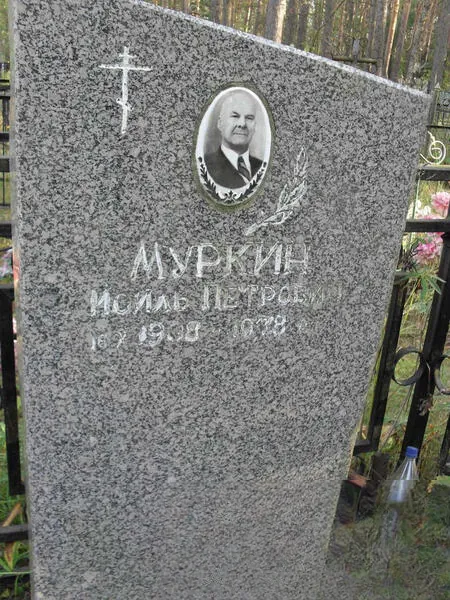 Муркин Иоиль