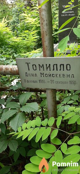Томилло Анна Моисеевна