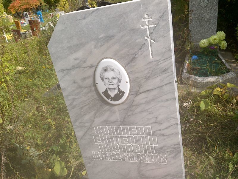 Хохолева