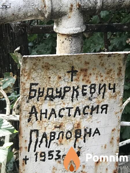 Будуркевич Анастасия Павловна