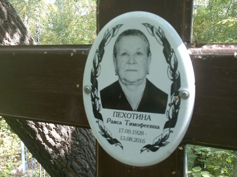 Пехотина