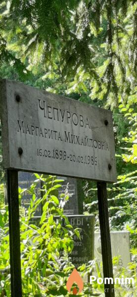 Чепурова Маргарита Михайловна