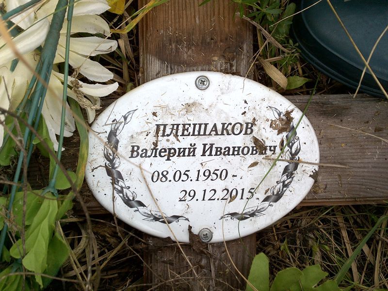 Плешаков
