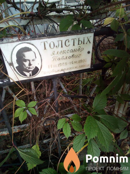 Толстых Александр Павлович