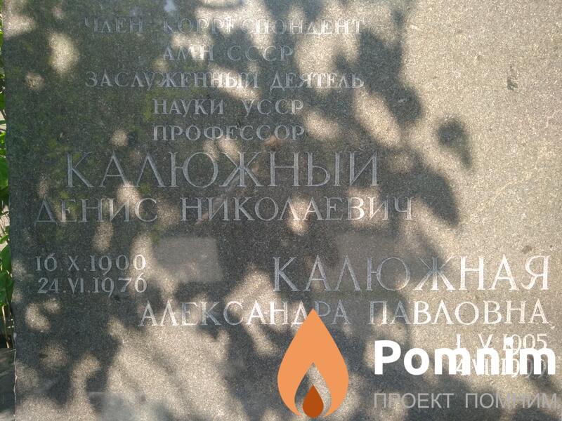 Калюжный Денис Николаевич