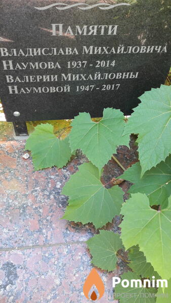 Наумов Владислав Михайлович