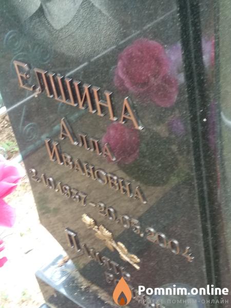 Елшина Алла Ивановна