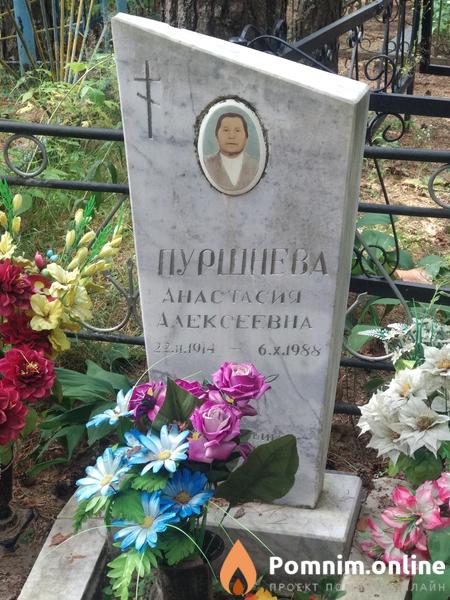 Пуршнева Анастасия Алексеева