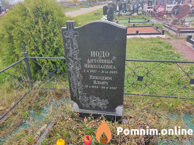 Иодо Антонина Николаевна