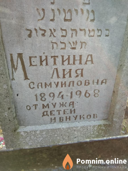 Мейтина Лия Самуиловна