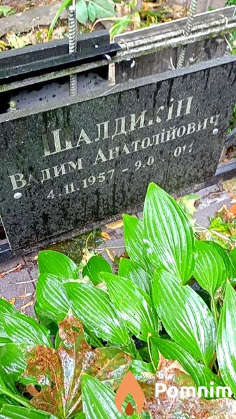 Шалдикин Вадим Анатолиевич