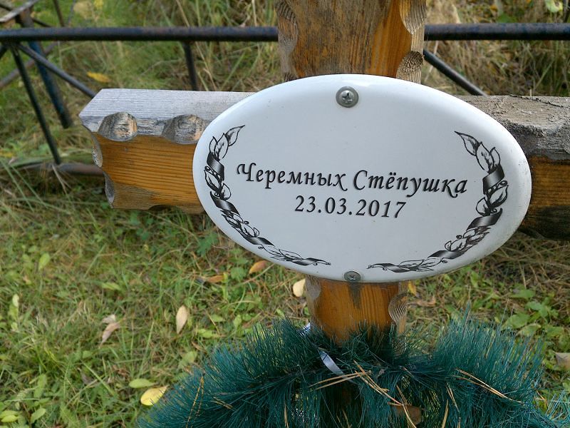 Стёпушка Черемных