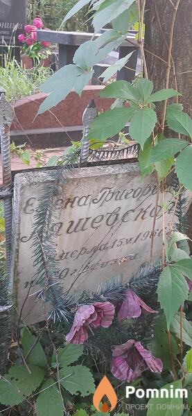 Ляшевская Елена Григорьевна