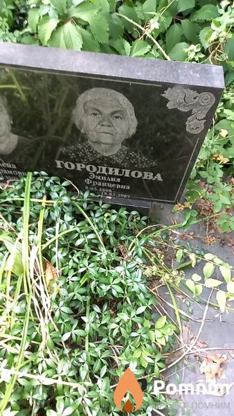 Городилова Эмилия Францевна