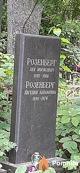 Розенберг Евгения Абрамовна