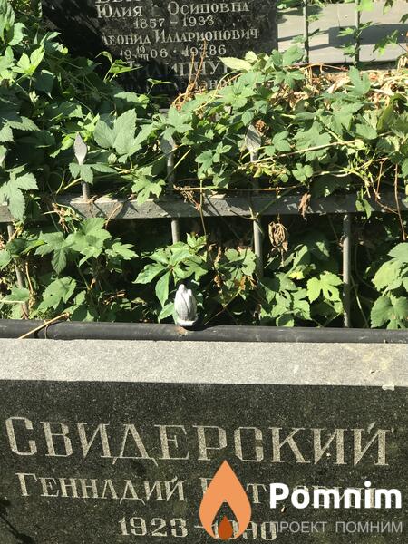 Свидерский Генадий Петрович