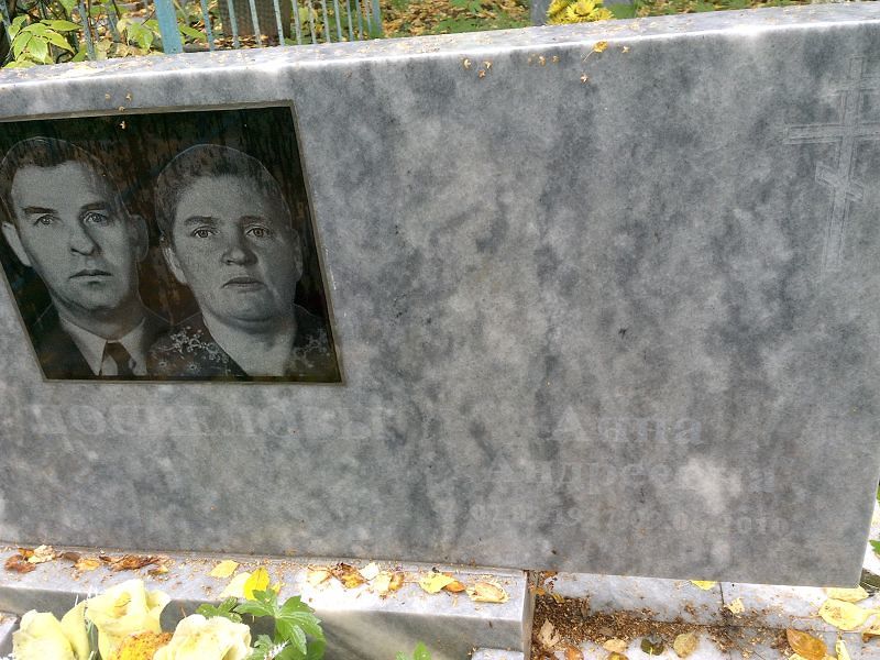 Поспелова