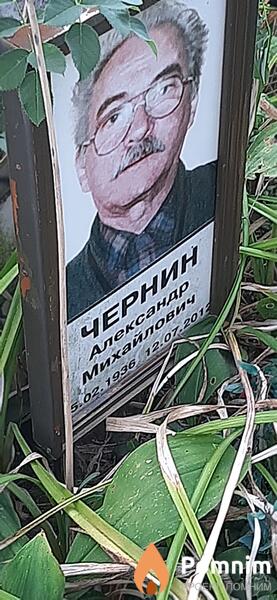 Чернин Александр Михайлович