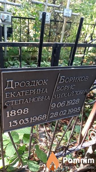 Дроздюк Екатерина Степановна