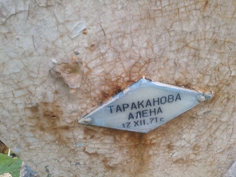 Алена Тараканова